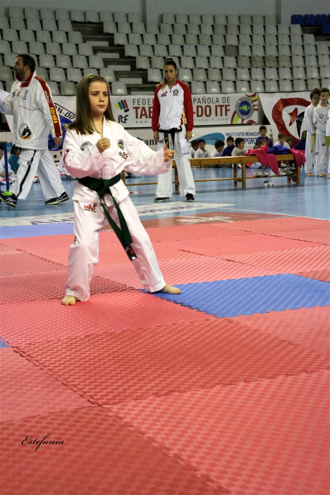 Taekwondo (43).jpg
